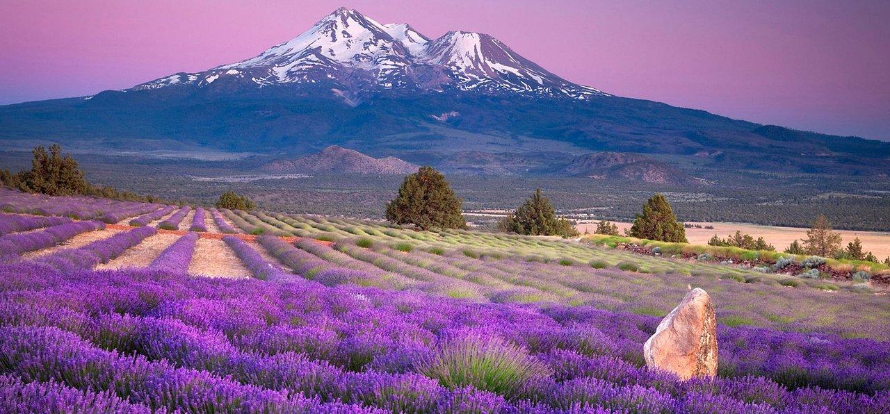 La provence
